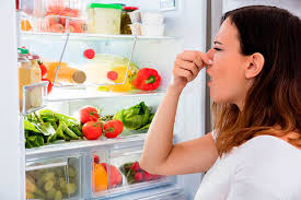 Cómo mantener tu refrigerador en buen estado